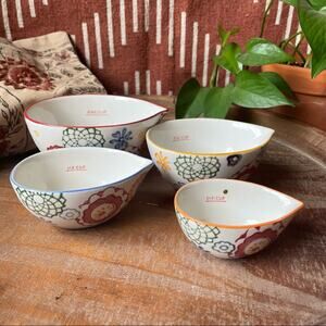 Pier 1 Hand Painted Measuring Cups